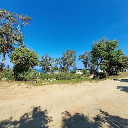 לומיו Calvi Mobil-Home Neuf Particulier Sur Camping מראה חיצוני תמונה